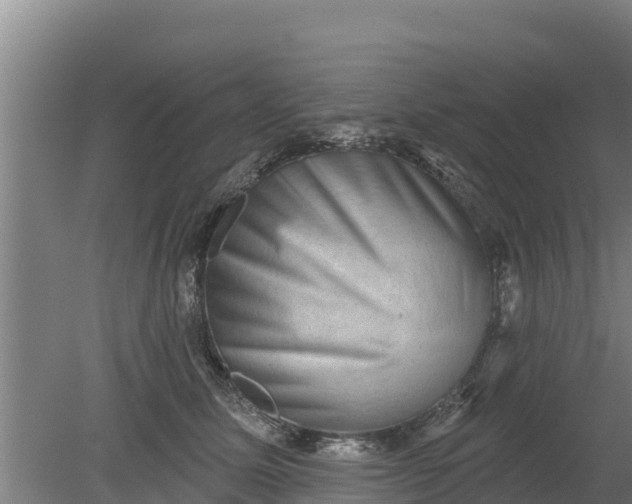 X0000079580611200612152108