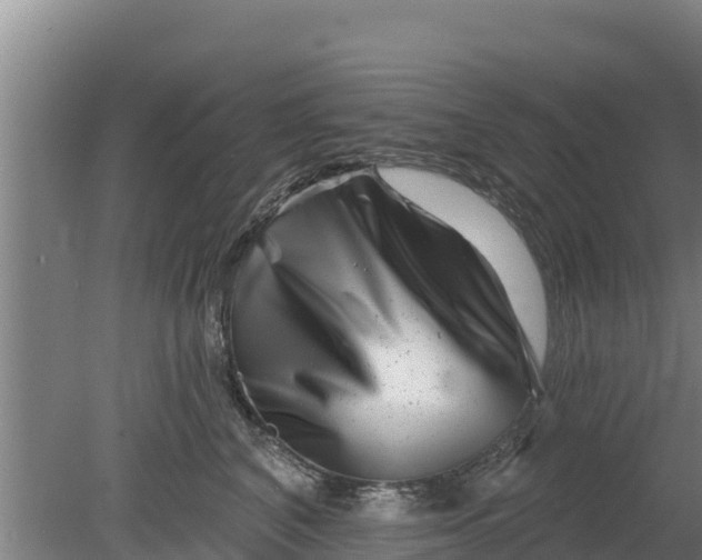 X0000079580616200612152107