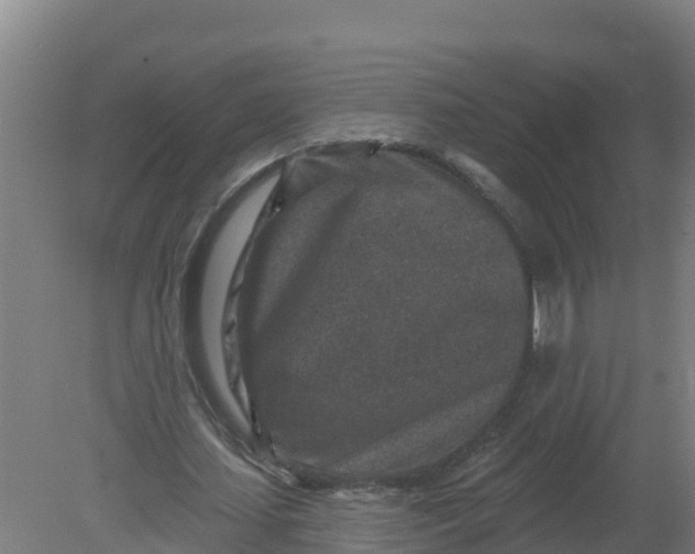X0000079580627200612152106