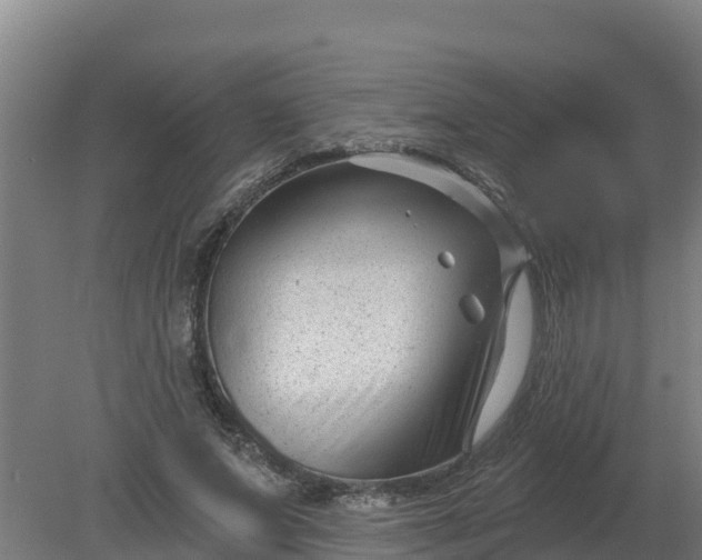 X0000079580687200612152106