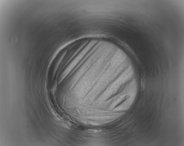 X0000079580724200612152105