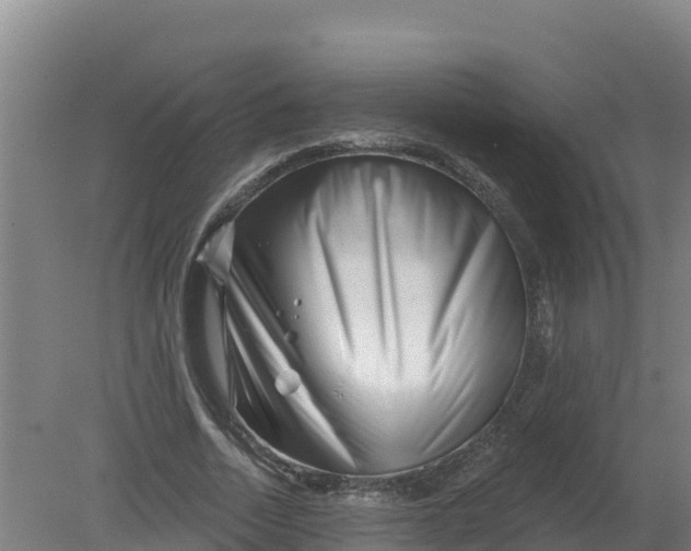 X0000079580730200612152105