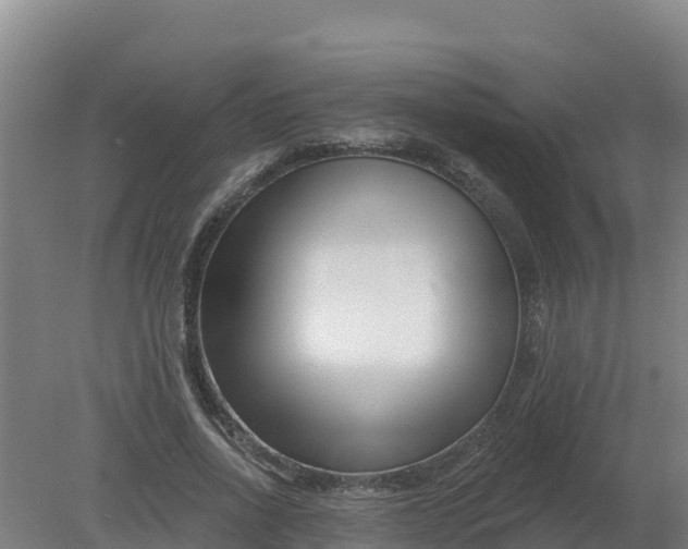 X0000079580734200612152105