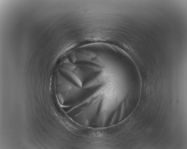 X0000079580735200612152105