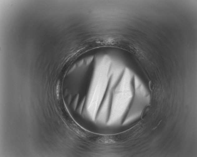 X0000079580747200612152105
