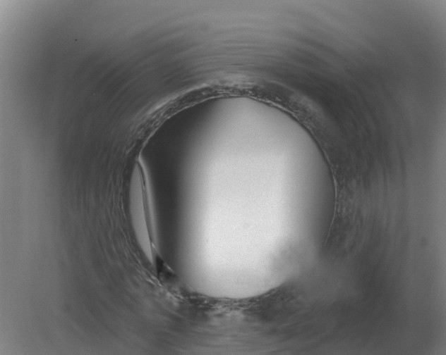 X0000079580773200612152105