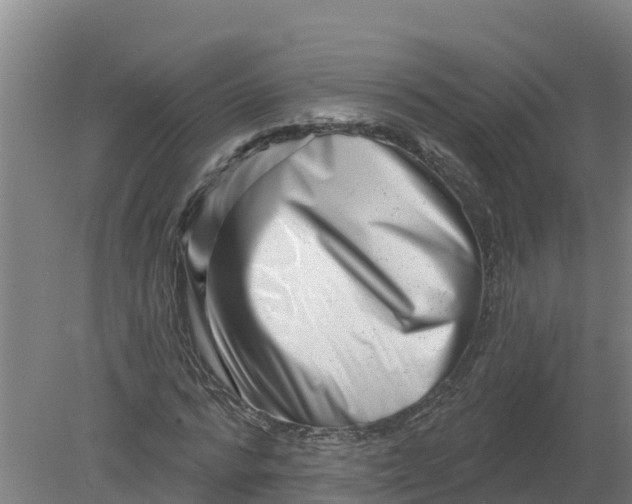 X0000079580776200612152105