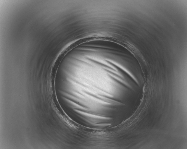 X0000079580784200612152105
