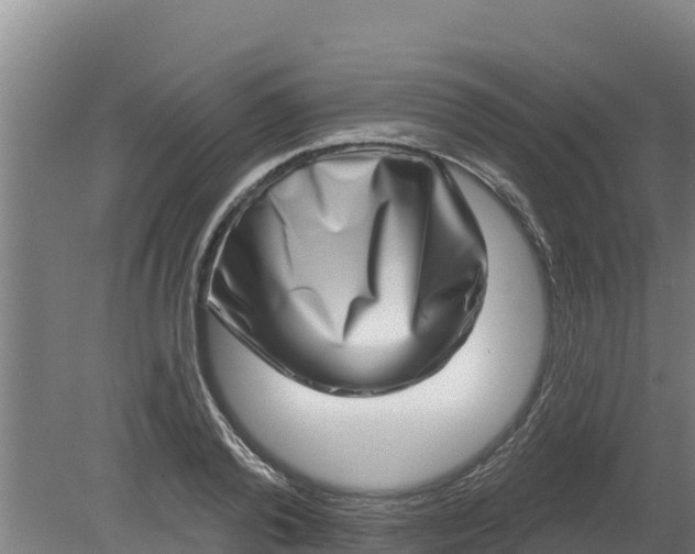 X0000079580792200612152104