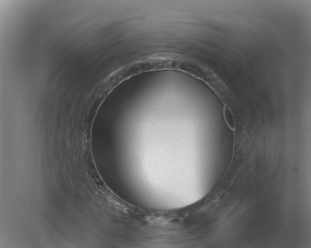 X0000079580821200612152103