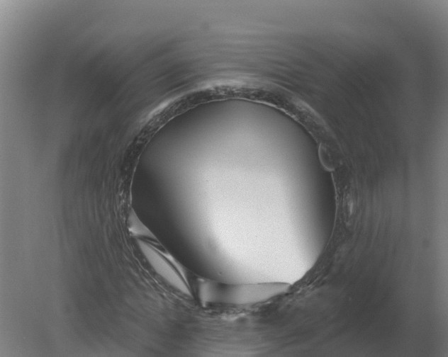 X0000079580822200612152103