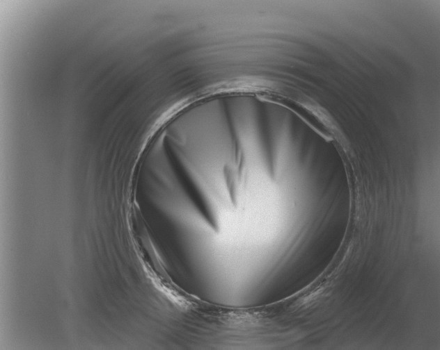 X0000079580850200612152104