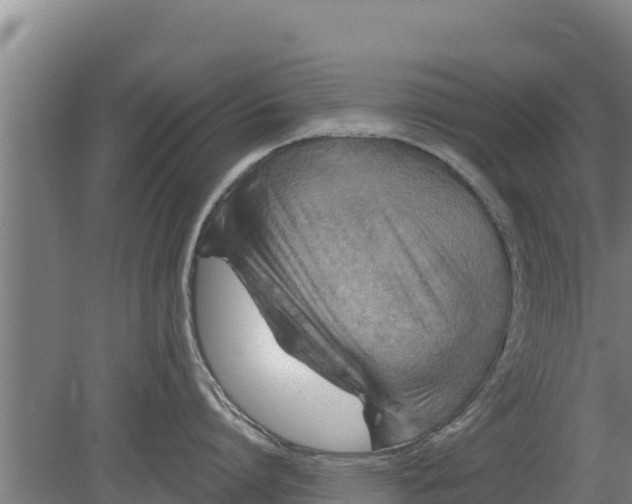 X0000079580864200612152104
