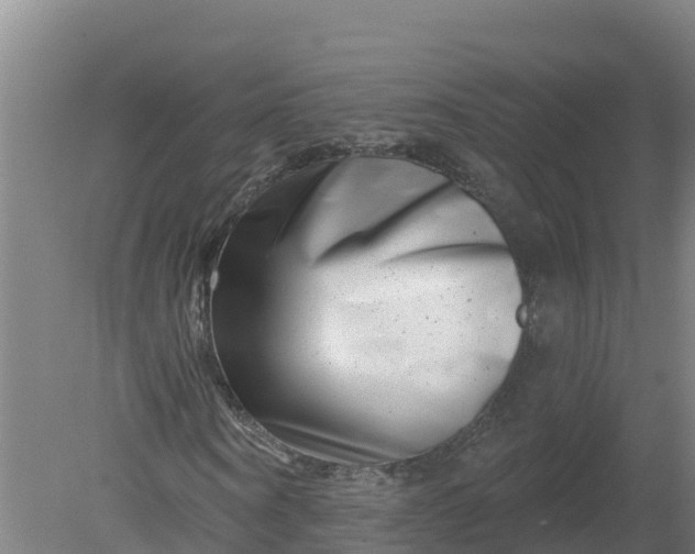 X0000079580866200612152103