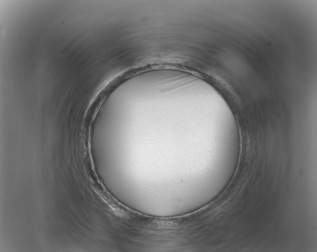 X0000079580878200612152103