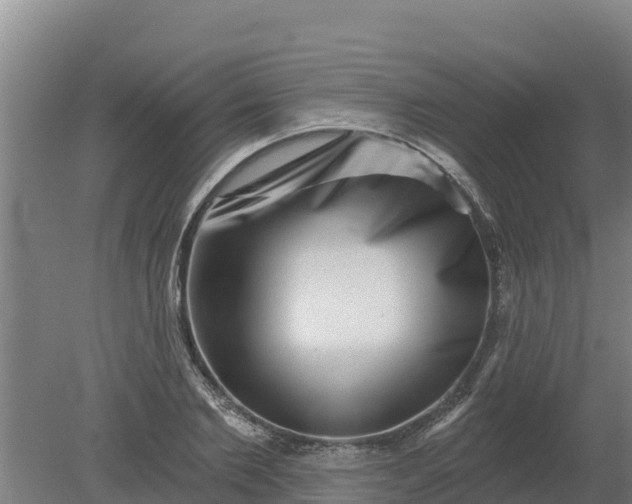 X0000079580885200612152103