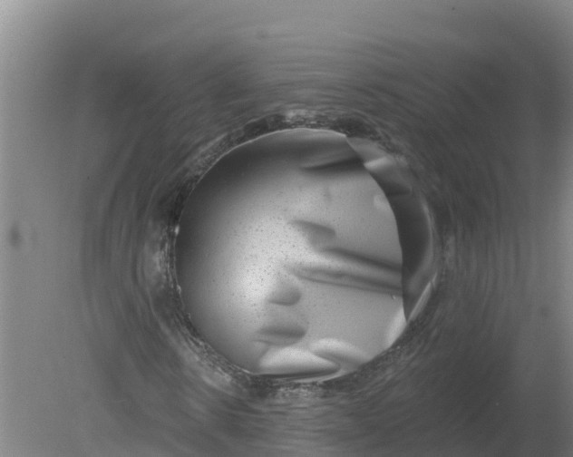 X0000079580914200612152102