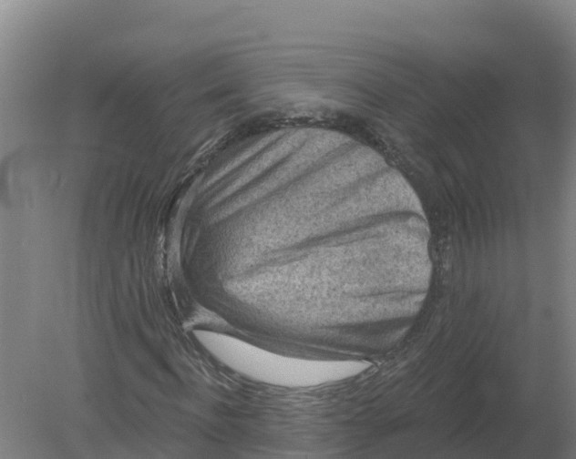 X0000079580916200612152102