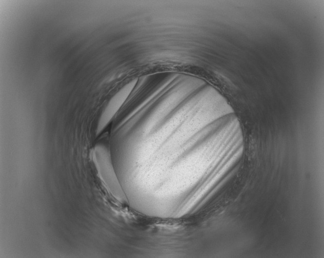 X0000079580917200612152102