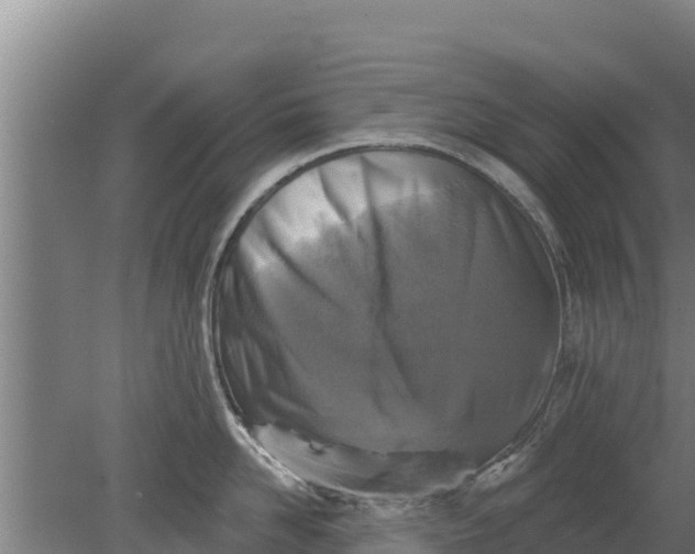 X0000079580958200612152102