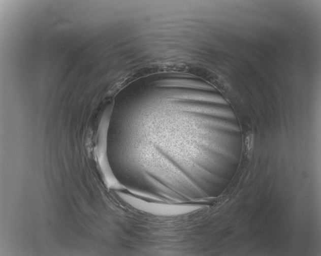 X0000079580963200612152102