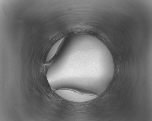 X0000079580964200612152102