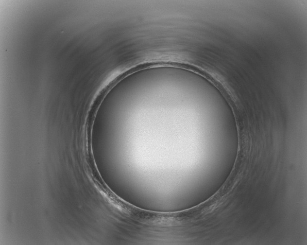 X0000079580982200612152101