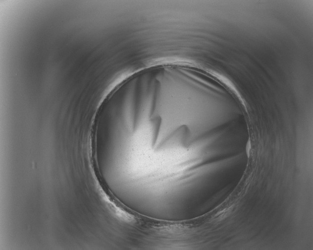 X0000079580999200612152101