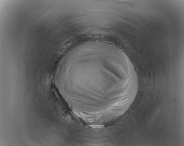 X0000079581013200612152100