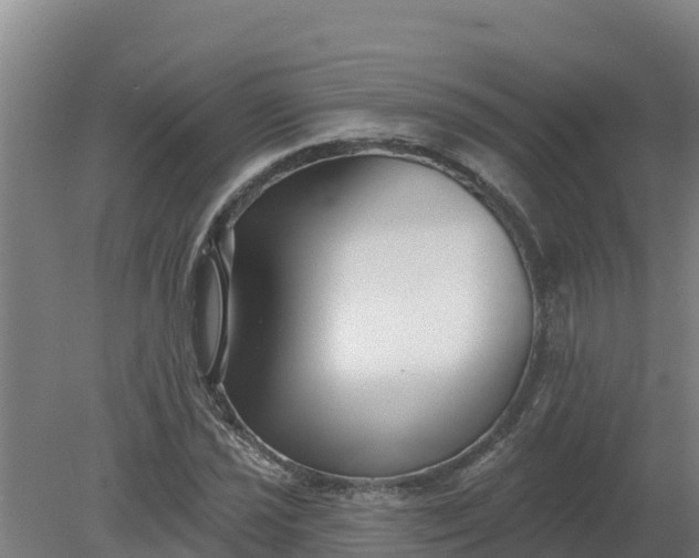 X0000079581021200612152100