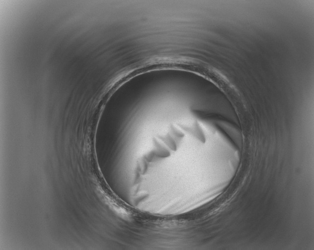 X0000079581025200612152100