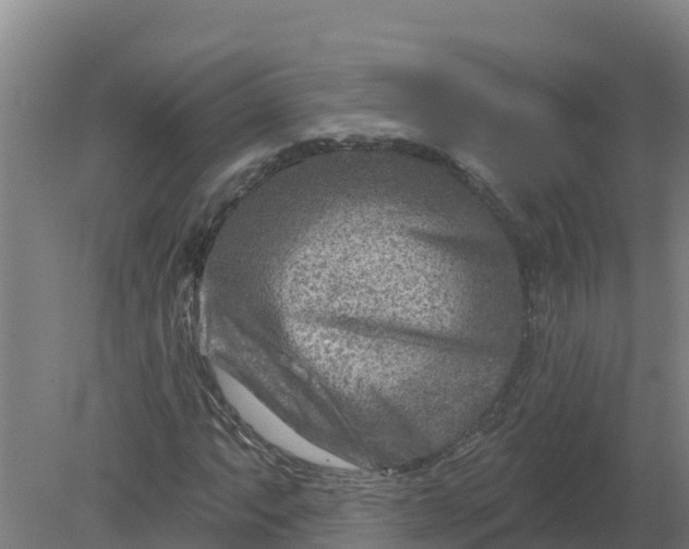 X0000079581063200612152100