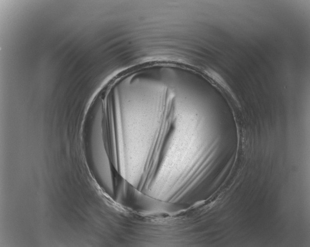 X0000079581068200612152100