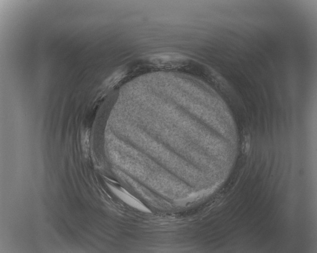 X0000079581108200612152058