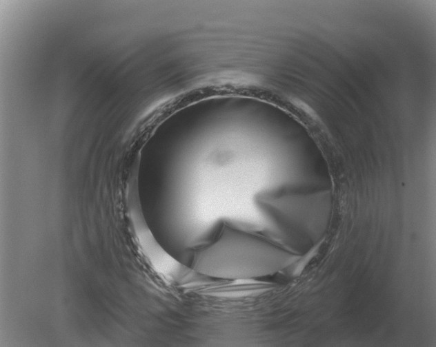 X0000079581112200612152058