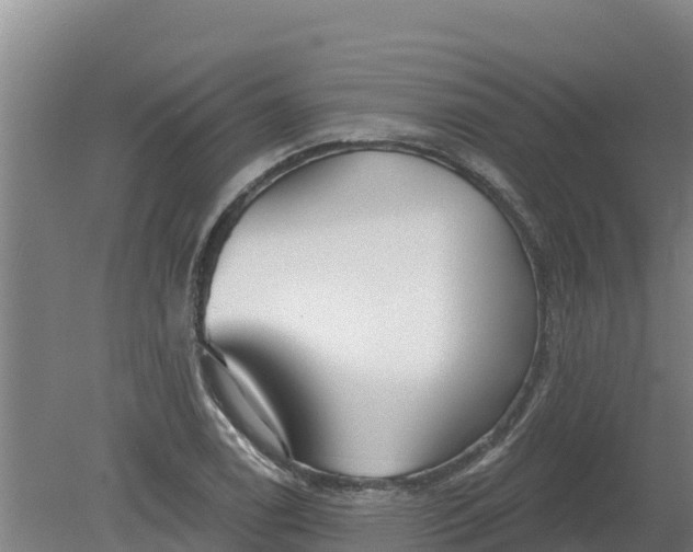 X0000079581122200612152059
