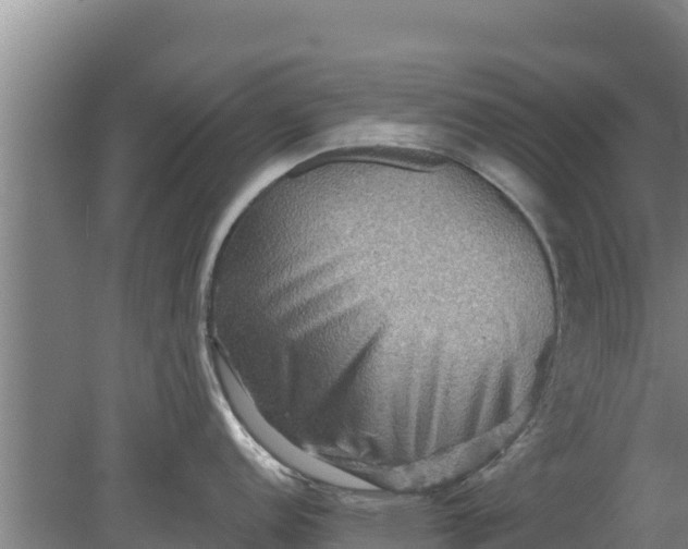 X0000079581152200612152059