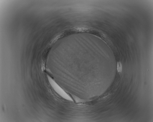 X0000079581155200612152058