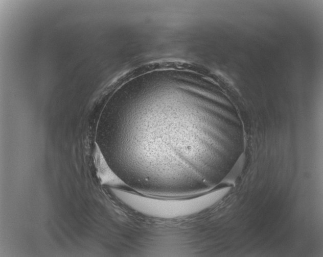 X0000079581159200612152058