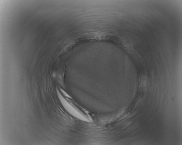 X0000079581202200612152057