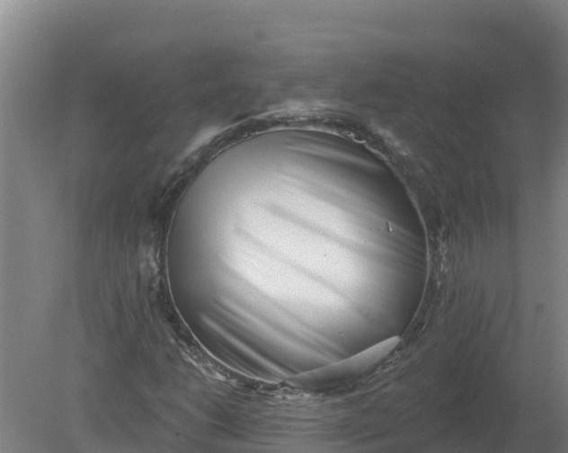 X0000079581206200612152057