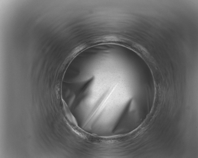 X0000079581225200612152057