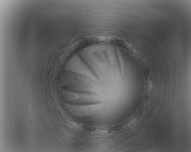 X0000079581249200612152057