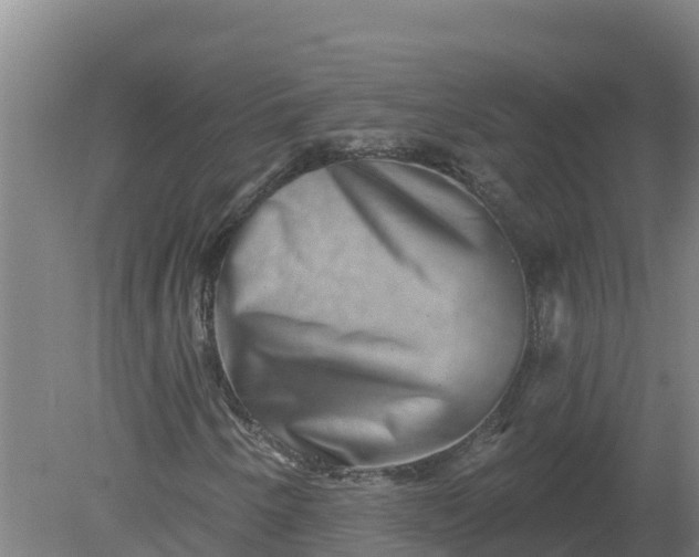 X0000079581250200612152057