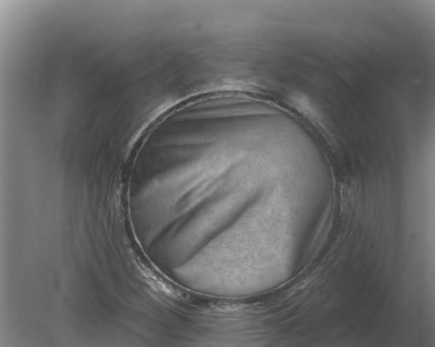 X0000079581260200612152057