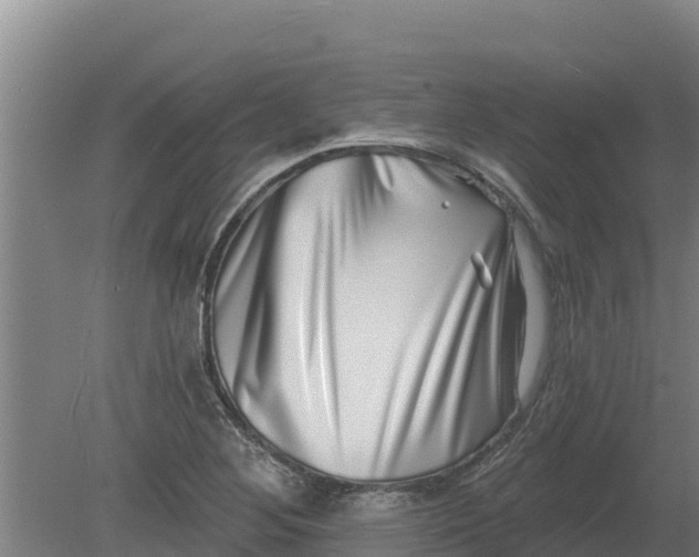 X0000079581268200612152056