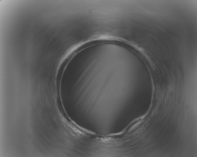 X0000079581319200612152056