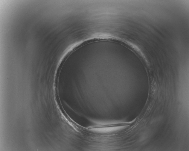 X0000079581327200612152056
