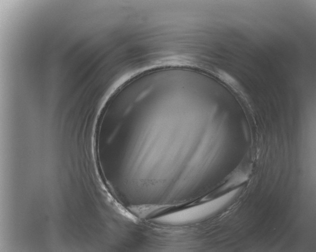 X0000079581334200612152056