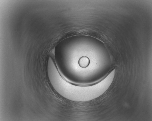 X0000079581345200612152055